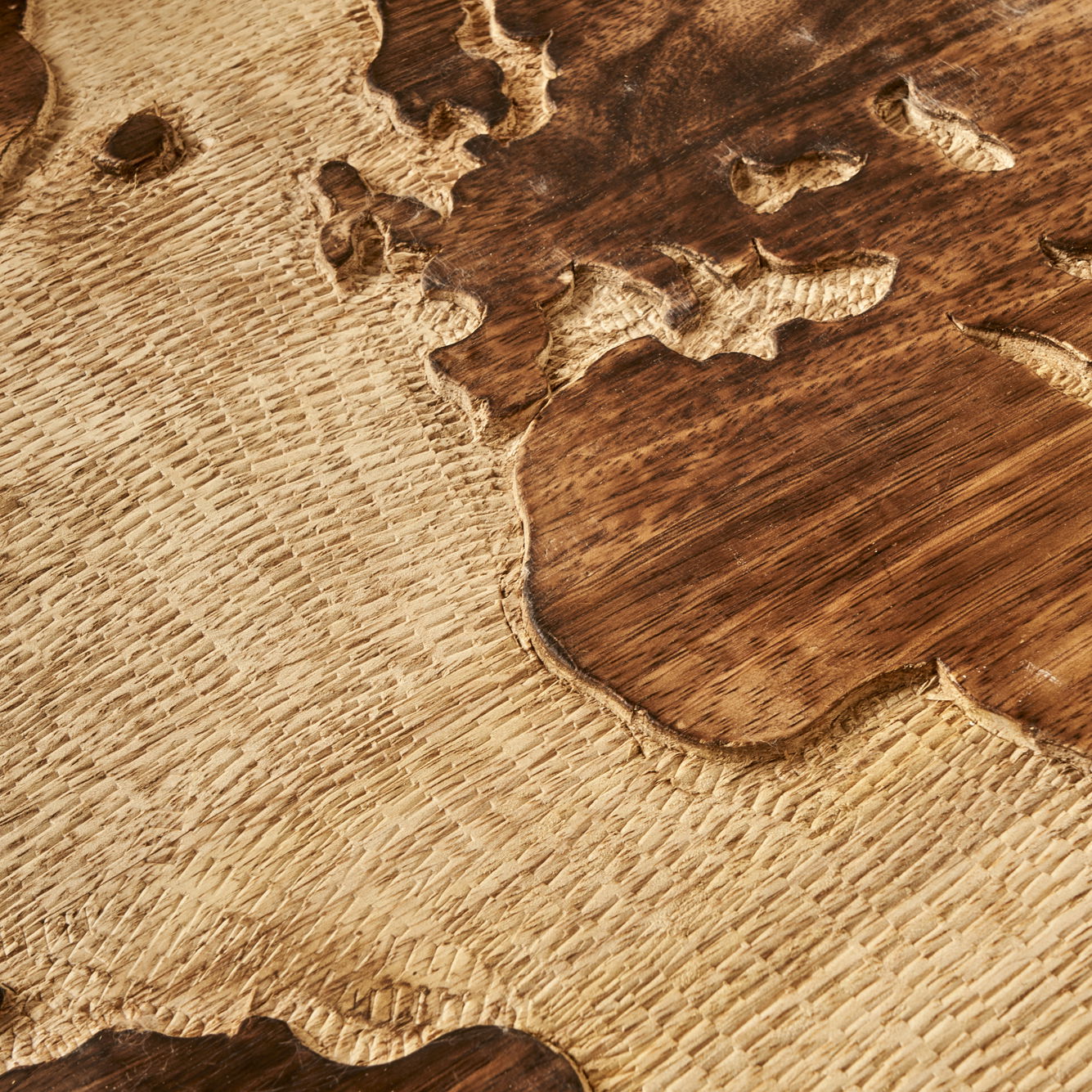 Tina Mango Wood World Map Decorative Tray