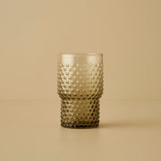 Bubble Hobnail Highball Glass (Set of 6)