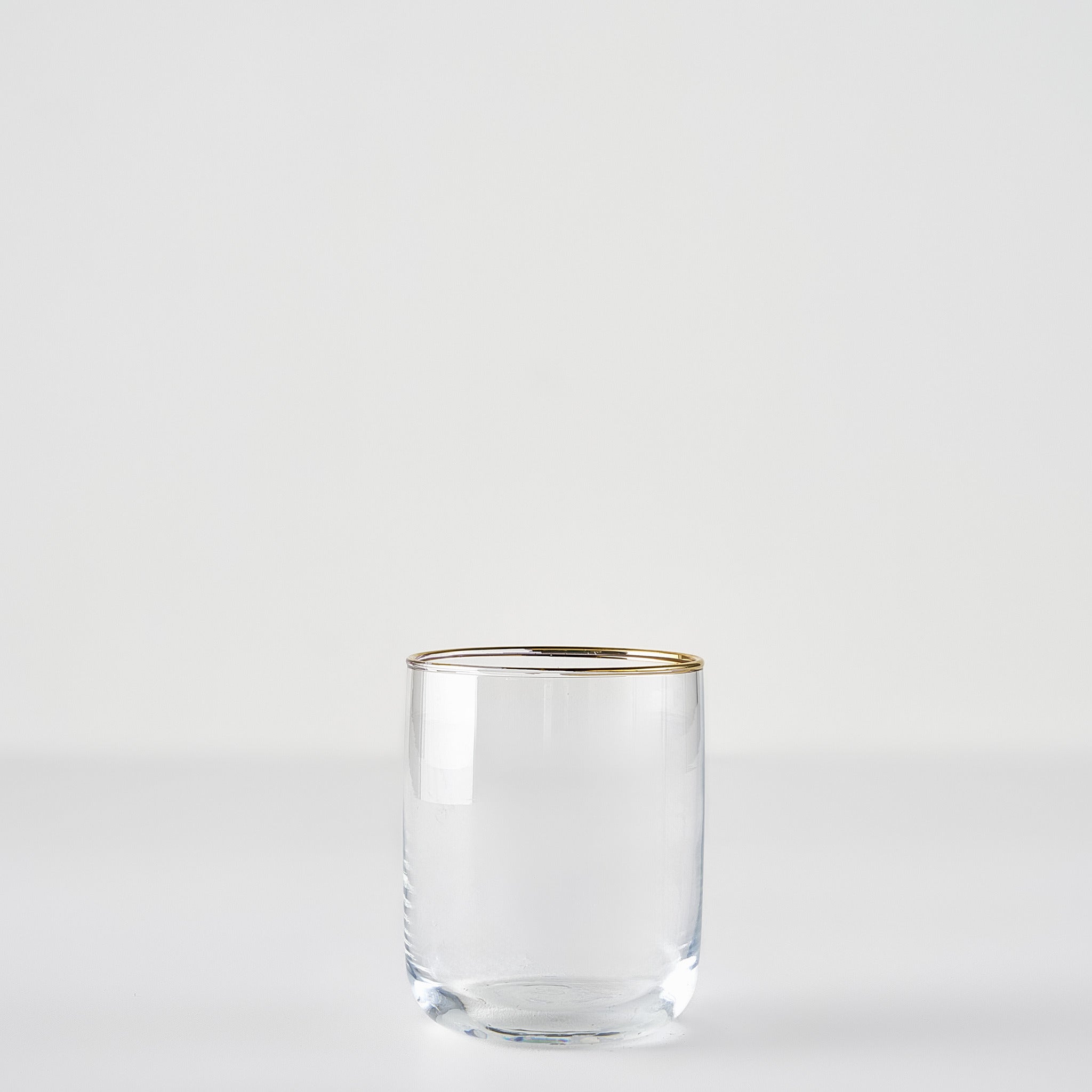 Premium Tumbler with Silver/Gold Rim