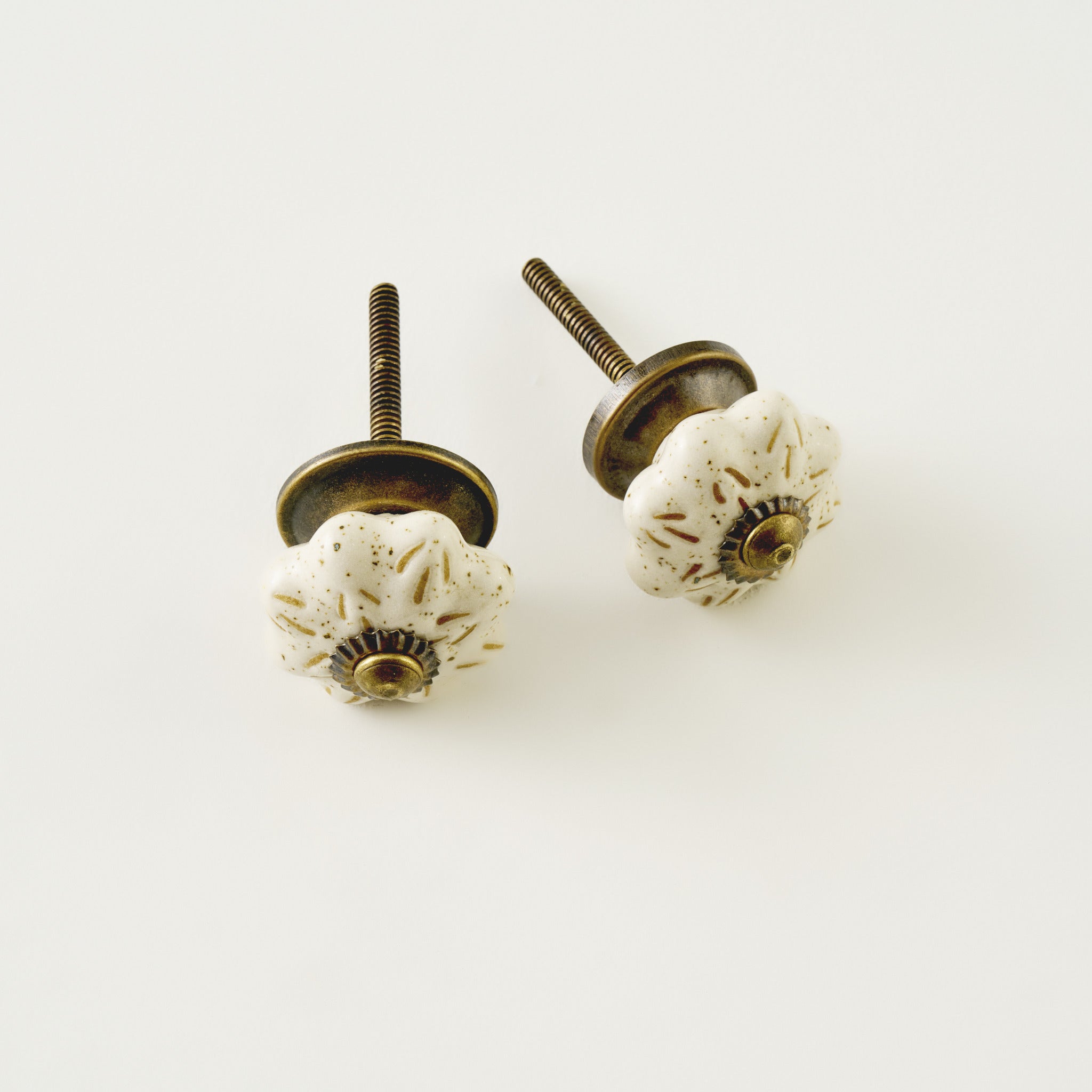 Alora Ceramic Cabinet Knobs (Set of 2)