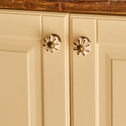 Aeris Ceramic Cabinet Knob (Set of 2)