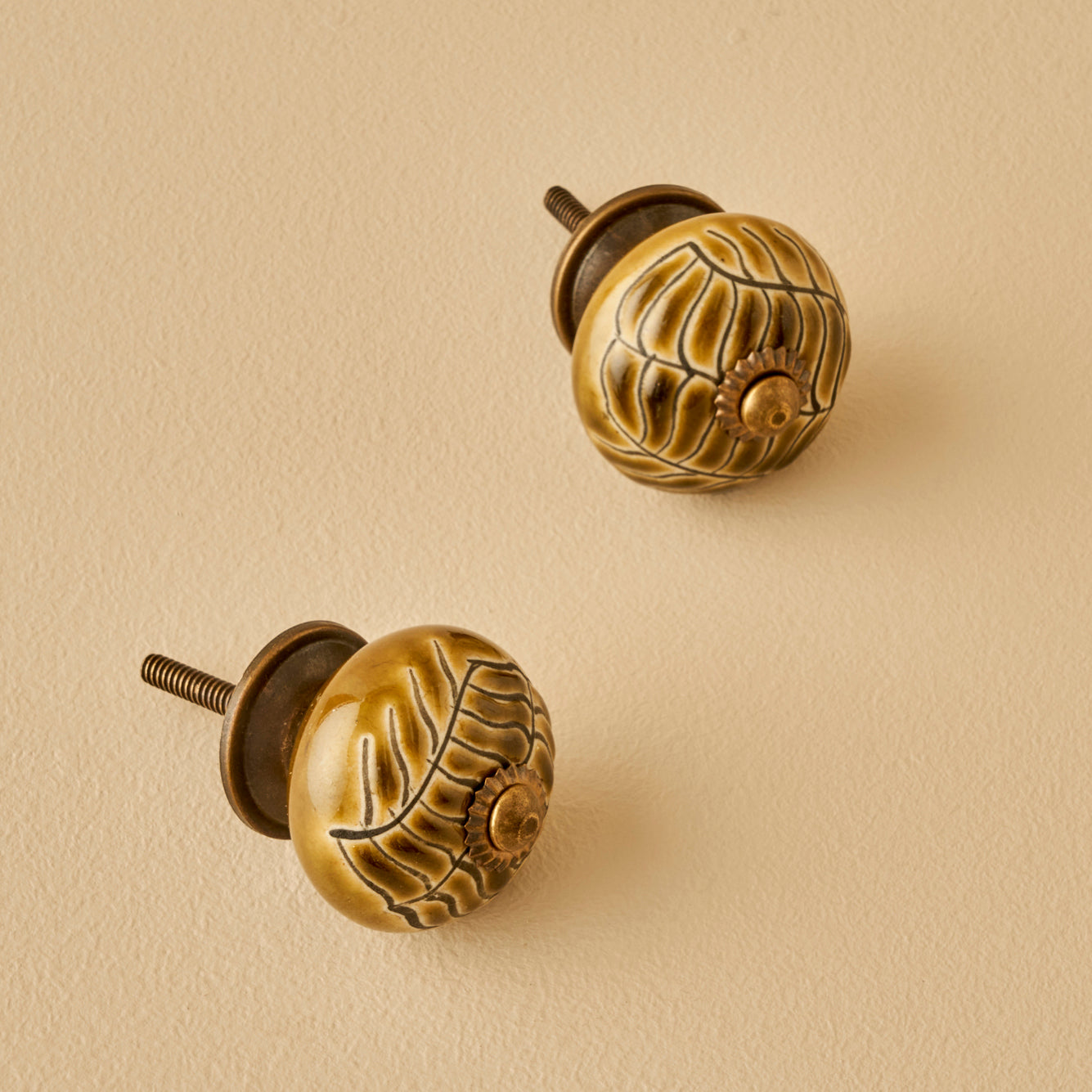 Lara Ceramic Cabinet Knobs (Set of 2)