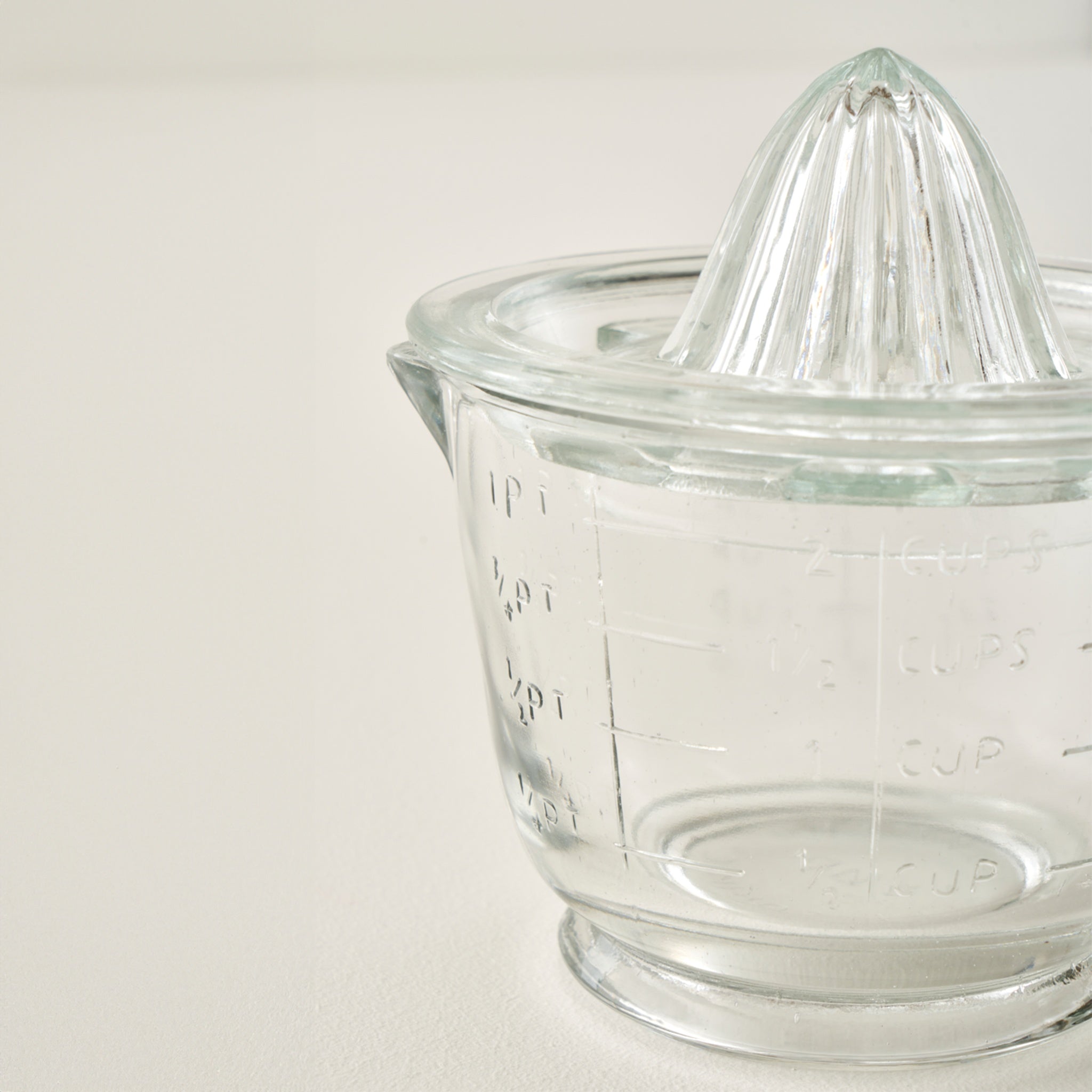 Bloom Glass Citrus Juicer