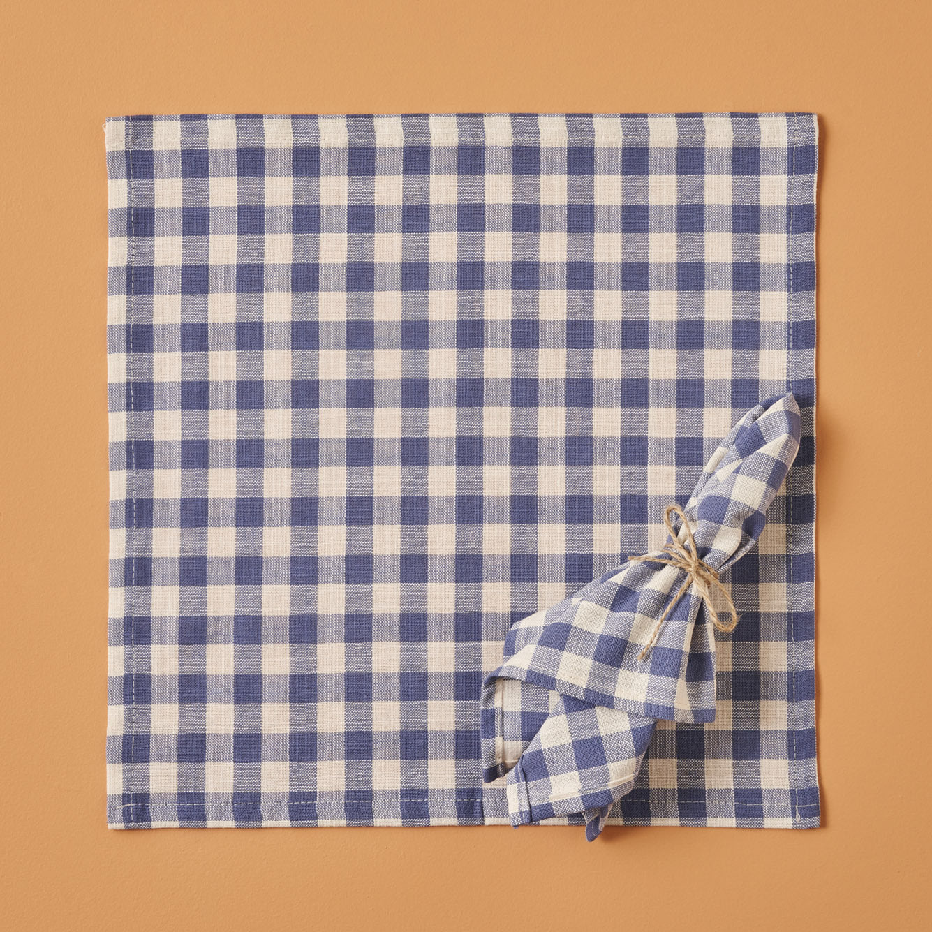 Bleu Blanc Gingham Cotton Napkin