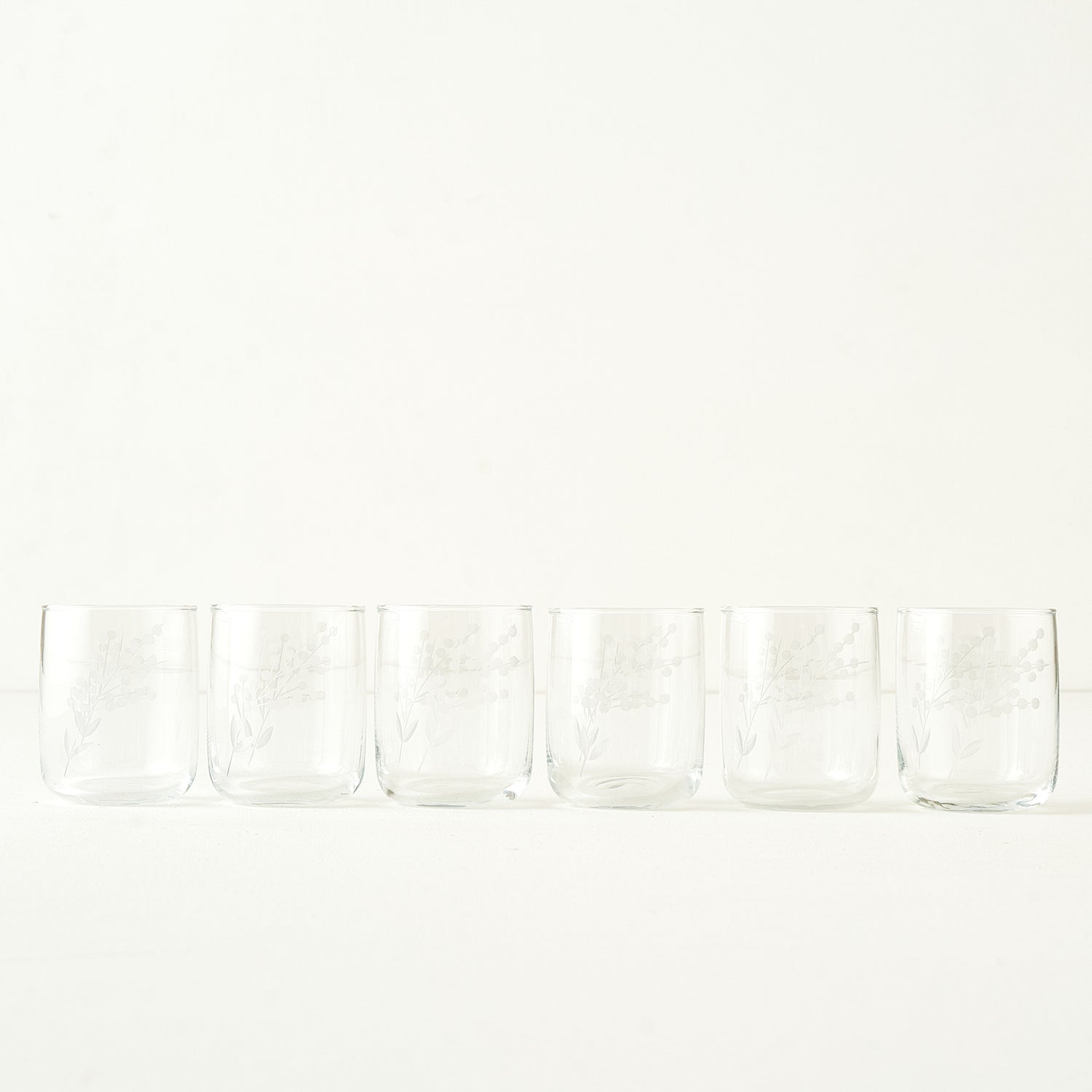 Exclusive Floral Etched Tumbler (Set of 6)