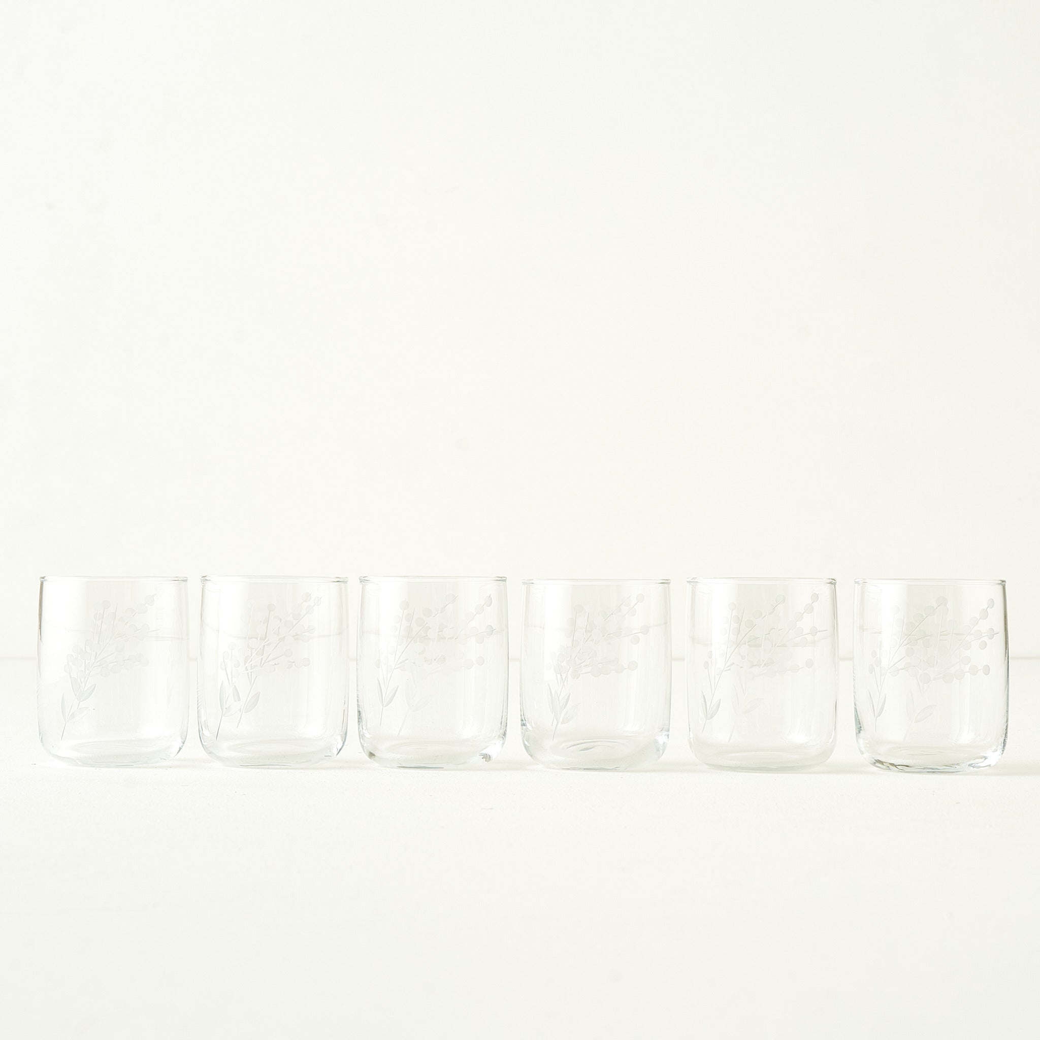 Exclusive Floral Etched Tumbler (Set of 6)