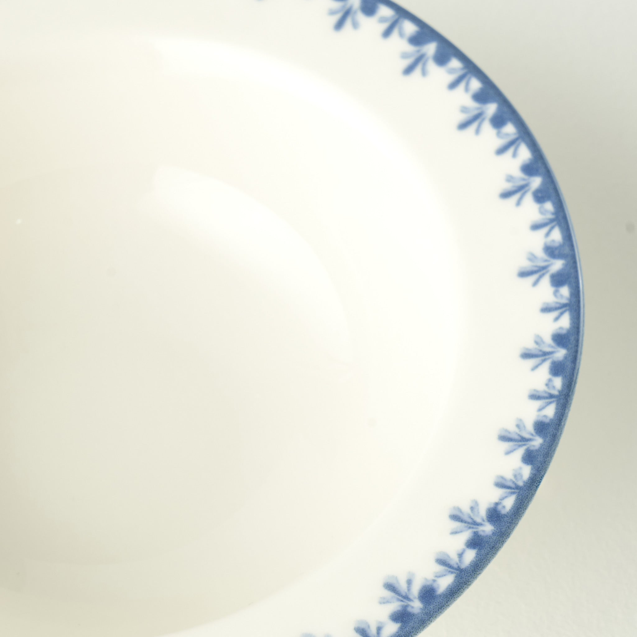 Bleu Blanc Porcelain Soup Bowl
