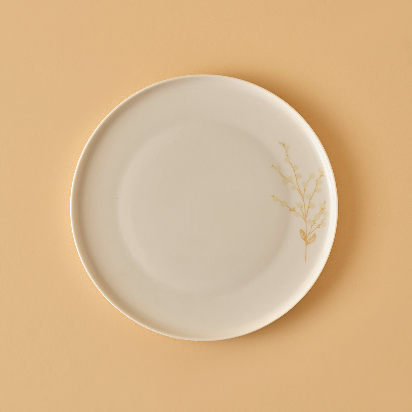Exclusive Selection 29 Piece Porcelain Dinnerware Set