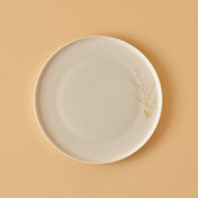 Exclusive Selection 29 Piece Porcelain Dinnerware Set