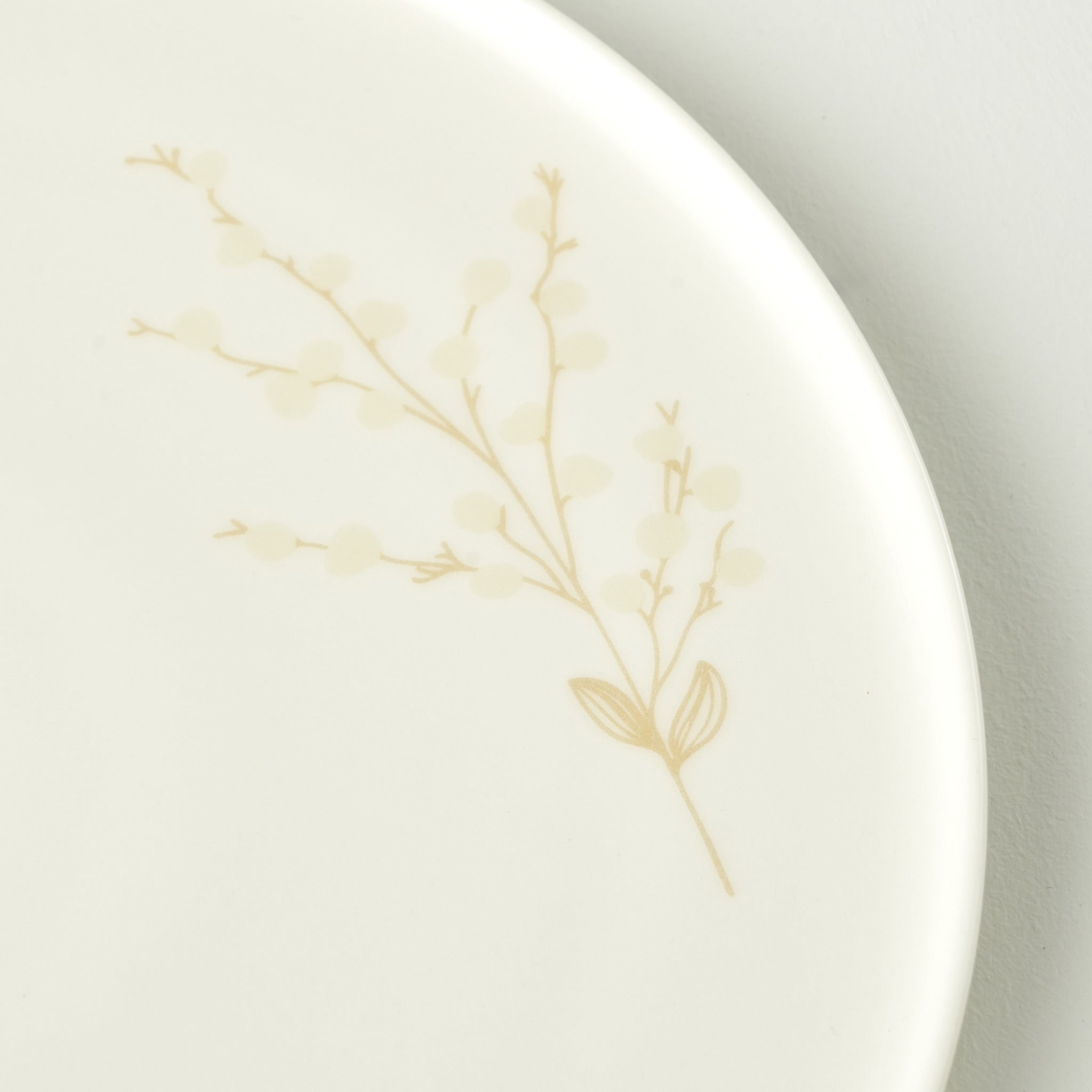 Exclusive Selection Dinner Plate