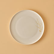 Exclusive Selection Dinner Plate