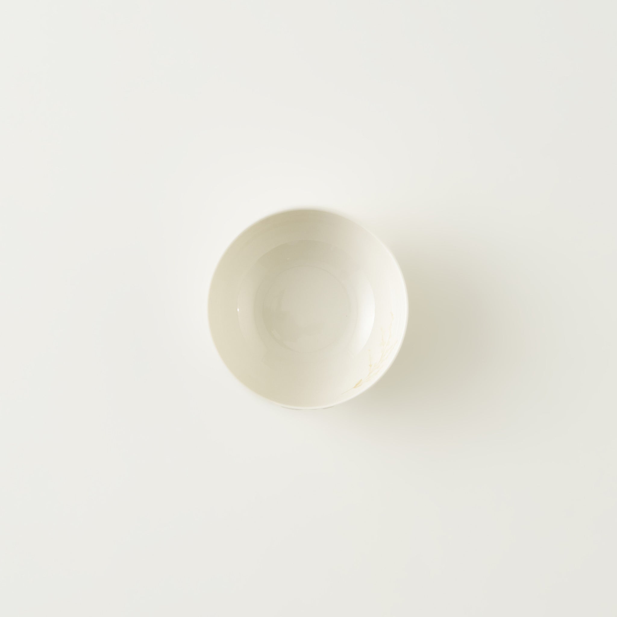 Exclusive Selection Porcelain Soup Bowl