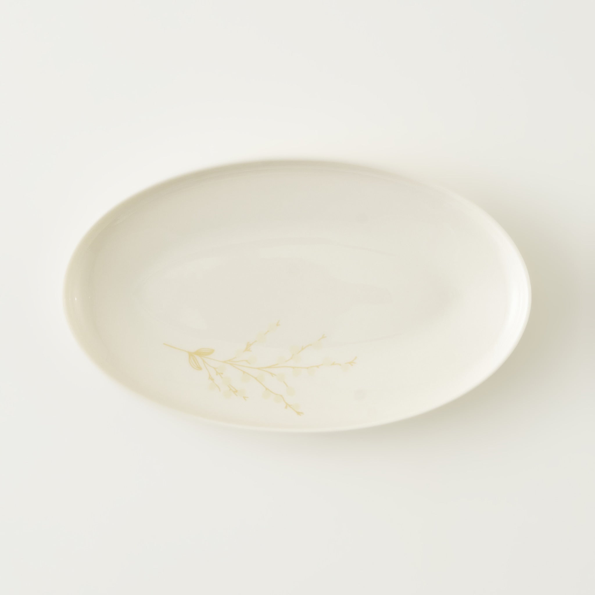 Exclusive Selection Porcelain Oval Serving Platter