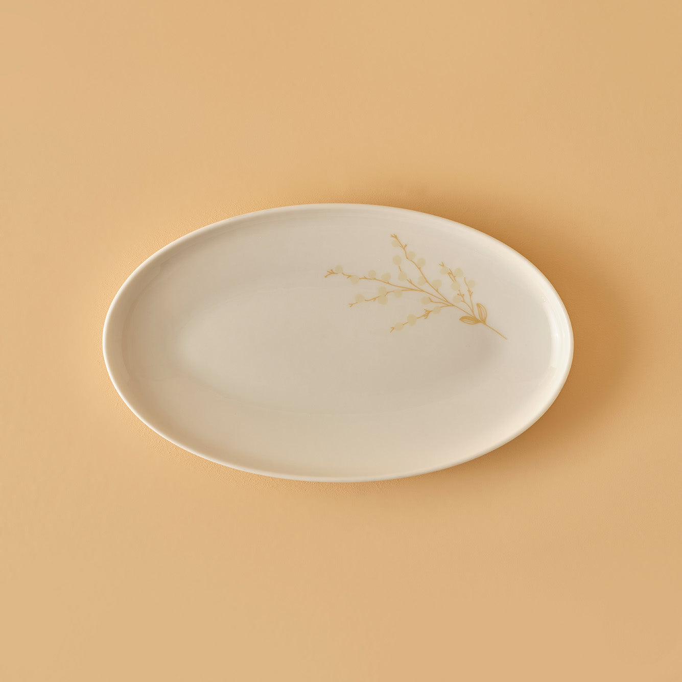 Exclusive Selection 29 Piece Porcelain Dinnerware Set