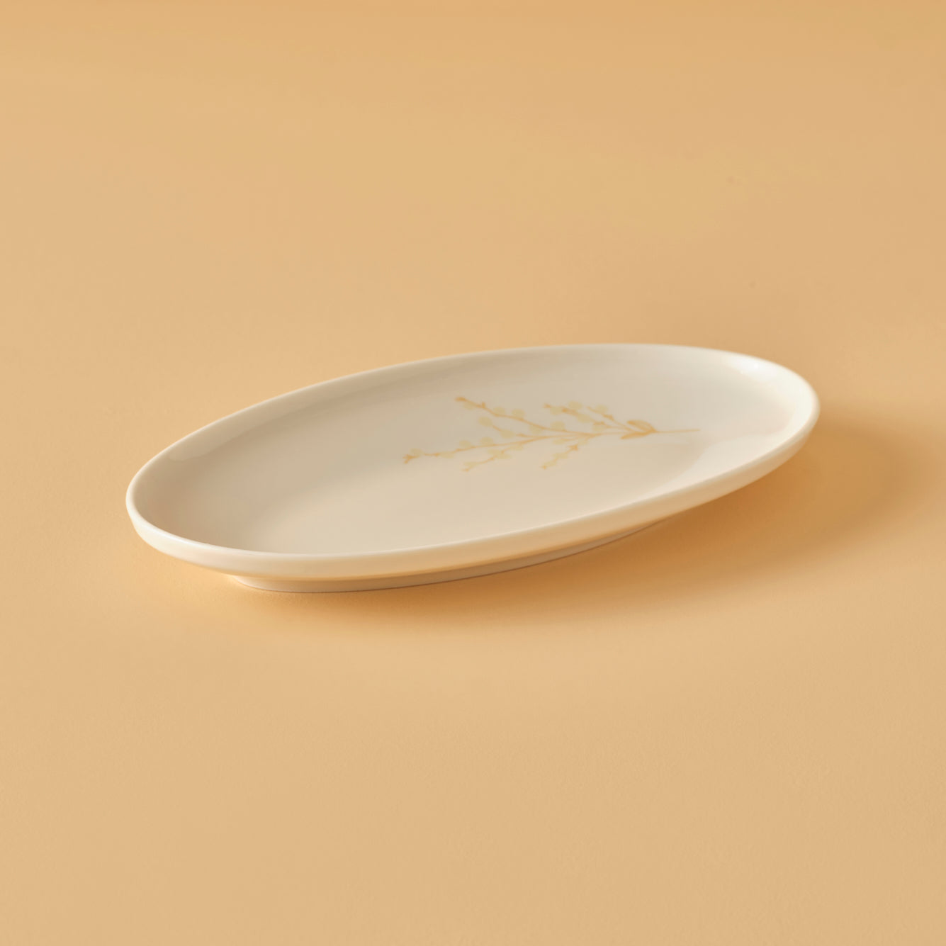 Exclusive Selection 29 Piece Porcelain Dinnerware Set