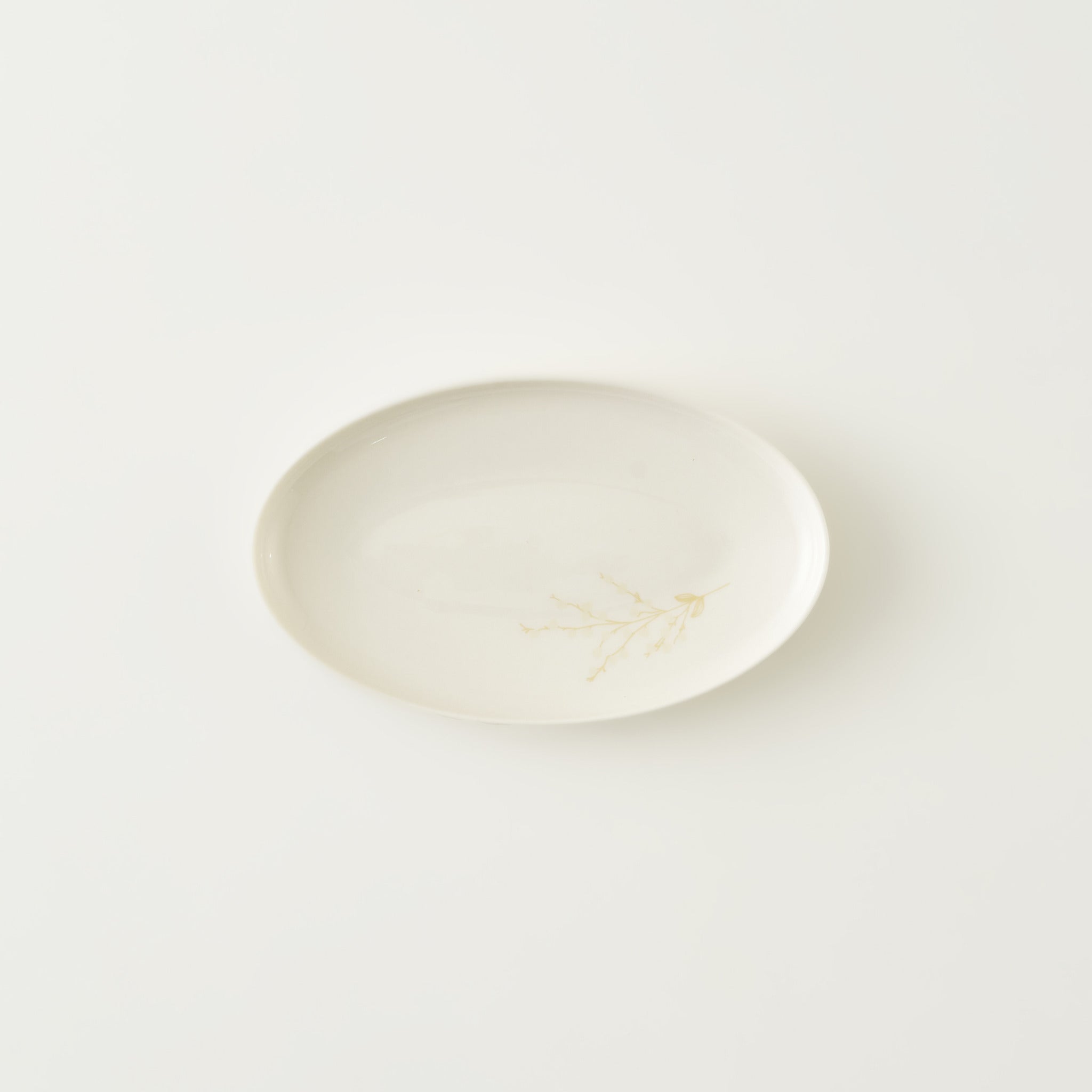 Exclusive Selection Porcelain Oval Serving Platter