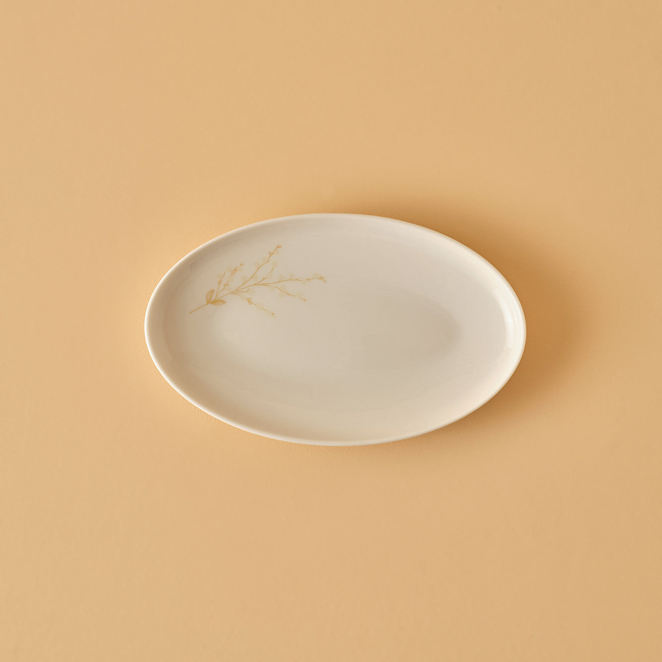 Exclusive Selection 29 Piece Porcelain Dinnerware Set