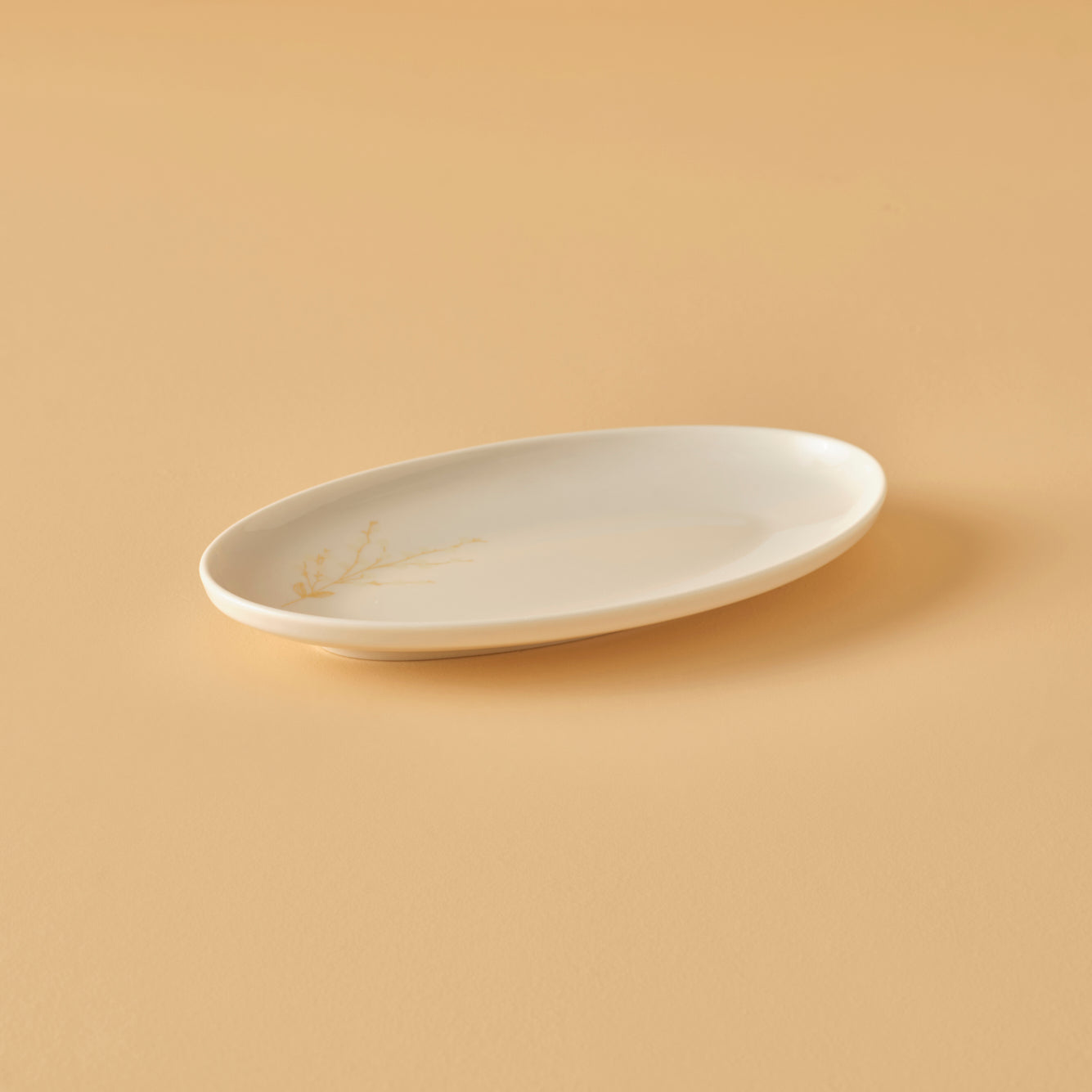 Exclusive Selection 29 Piece Porcelain Dinnerware Set