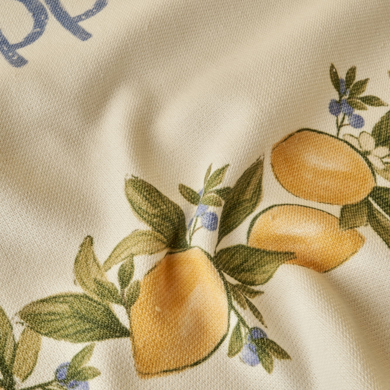 Lemoncello Printed Kitchen Towel (Set of 2)