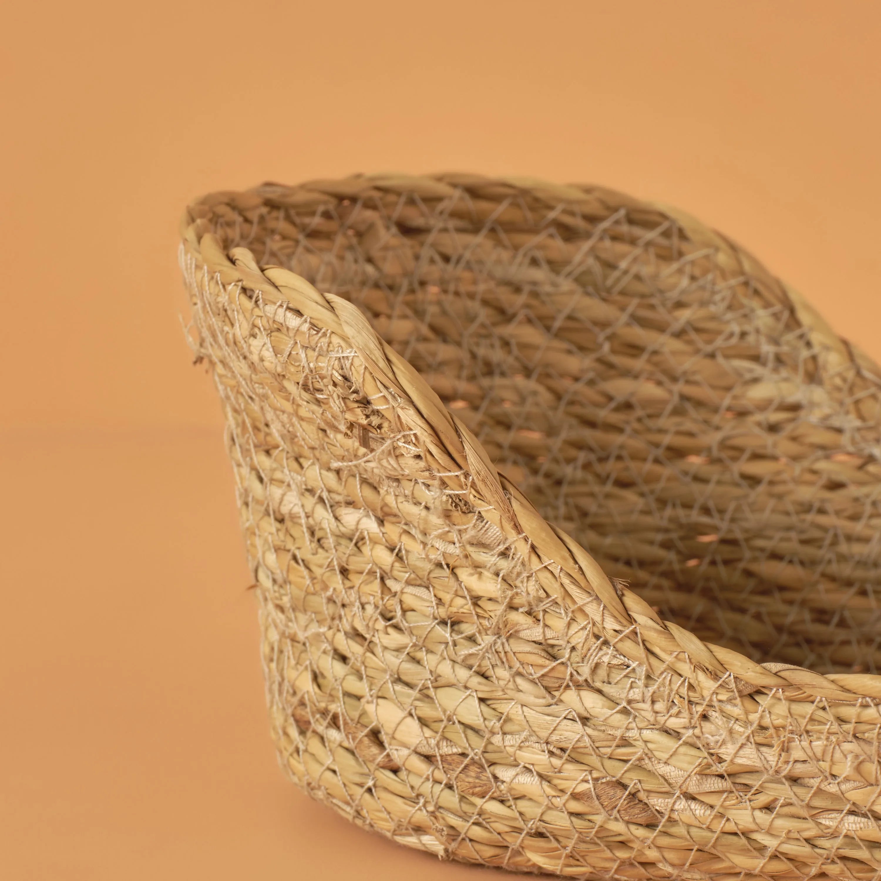 Berry Woven Natural Fiber Decorative Basket detail view
