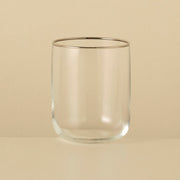 Premium Tumbler with Silver/Gold Rim