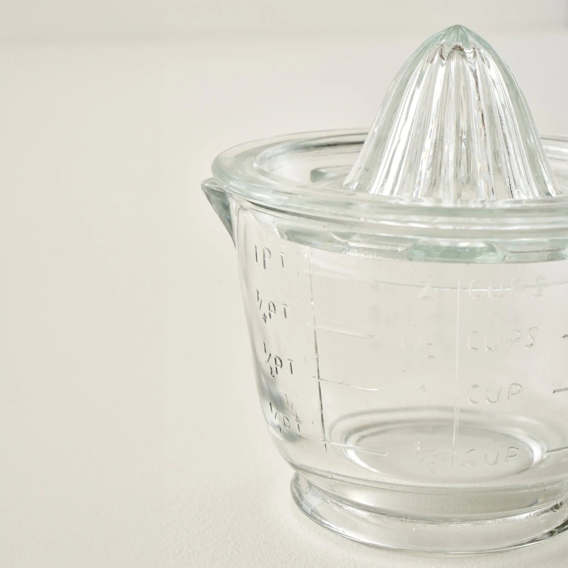 Bloom Glass Citrus Juicer