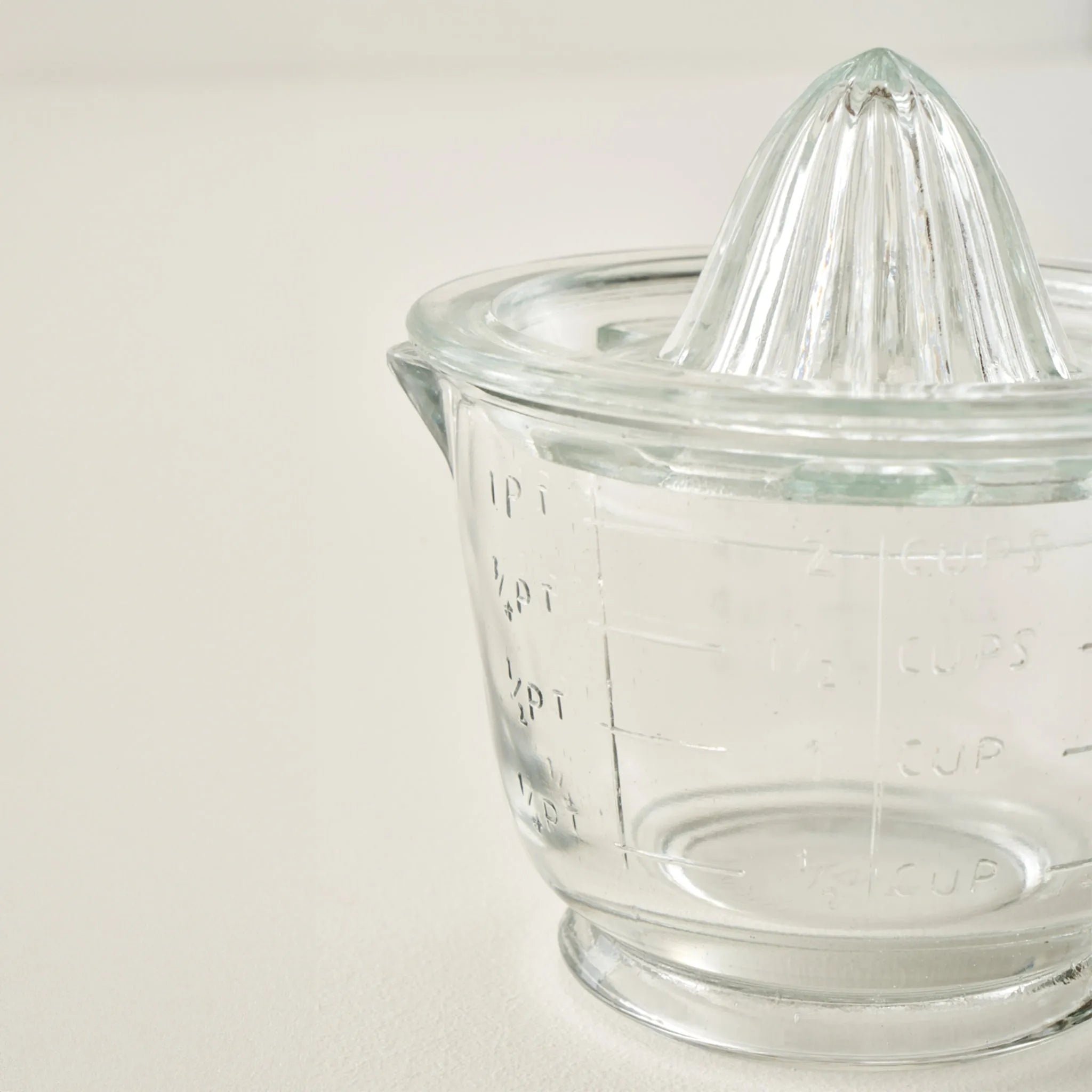 Bloom Glass Citrus Juicer