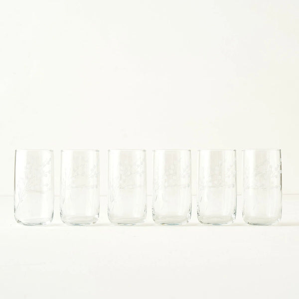 Exclusive Collection Floral Highball Glass (Set of 6)