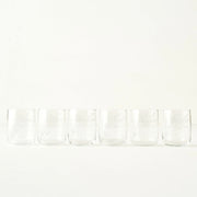 Exclusive Floral Etched Tumbler (Set of 6)