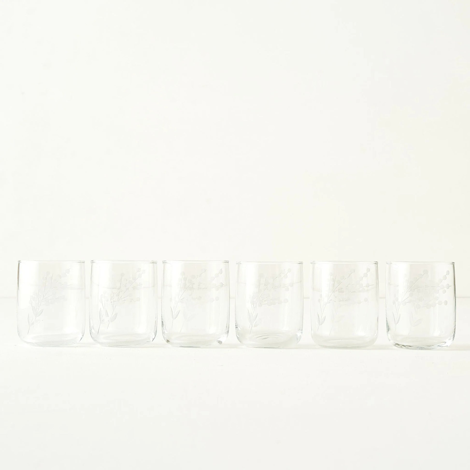 Exclusive Floral Etched Tumbler (Set of 6)