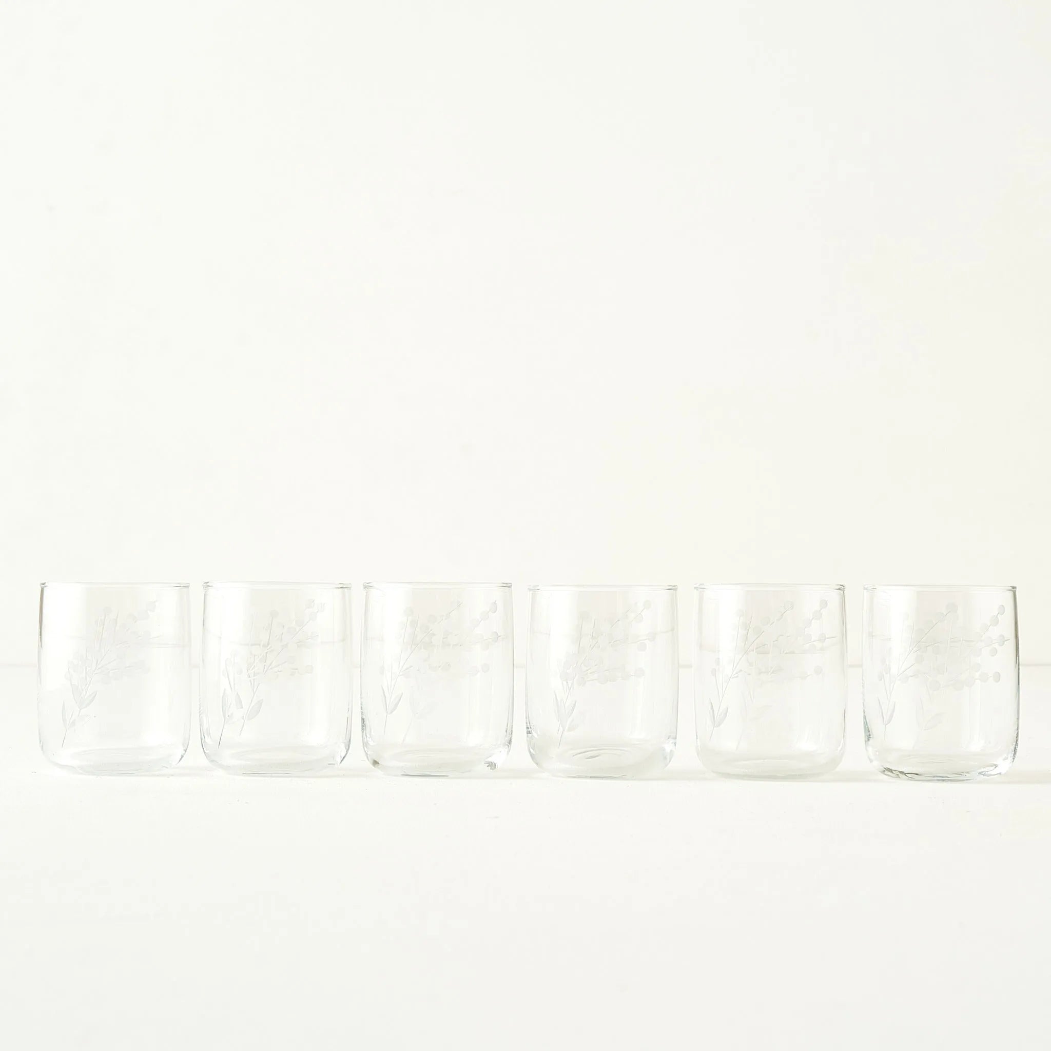 Exclusive Floral Etched Tumbler (Set of 6)