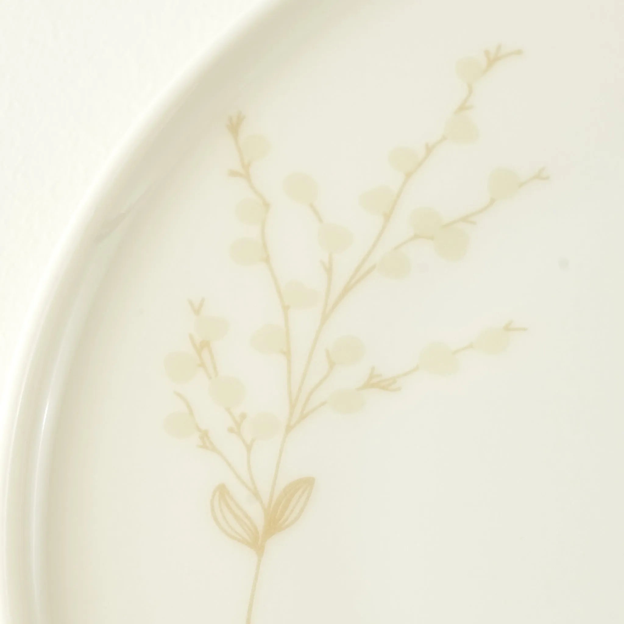Exclusive Selection 29 Piece Porcelain Dinnerware Set texture detail