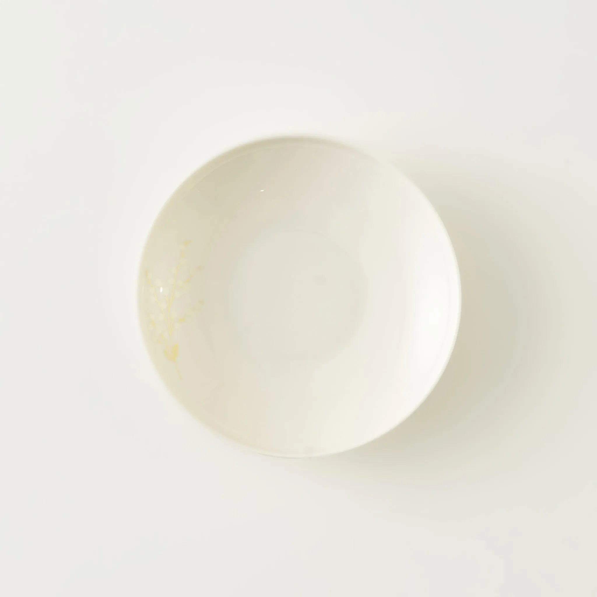 Exclusive Selection Porcelain Salad Plate