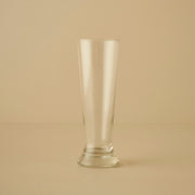 Stein Beer Glass