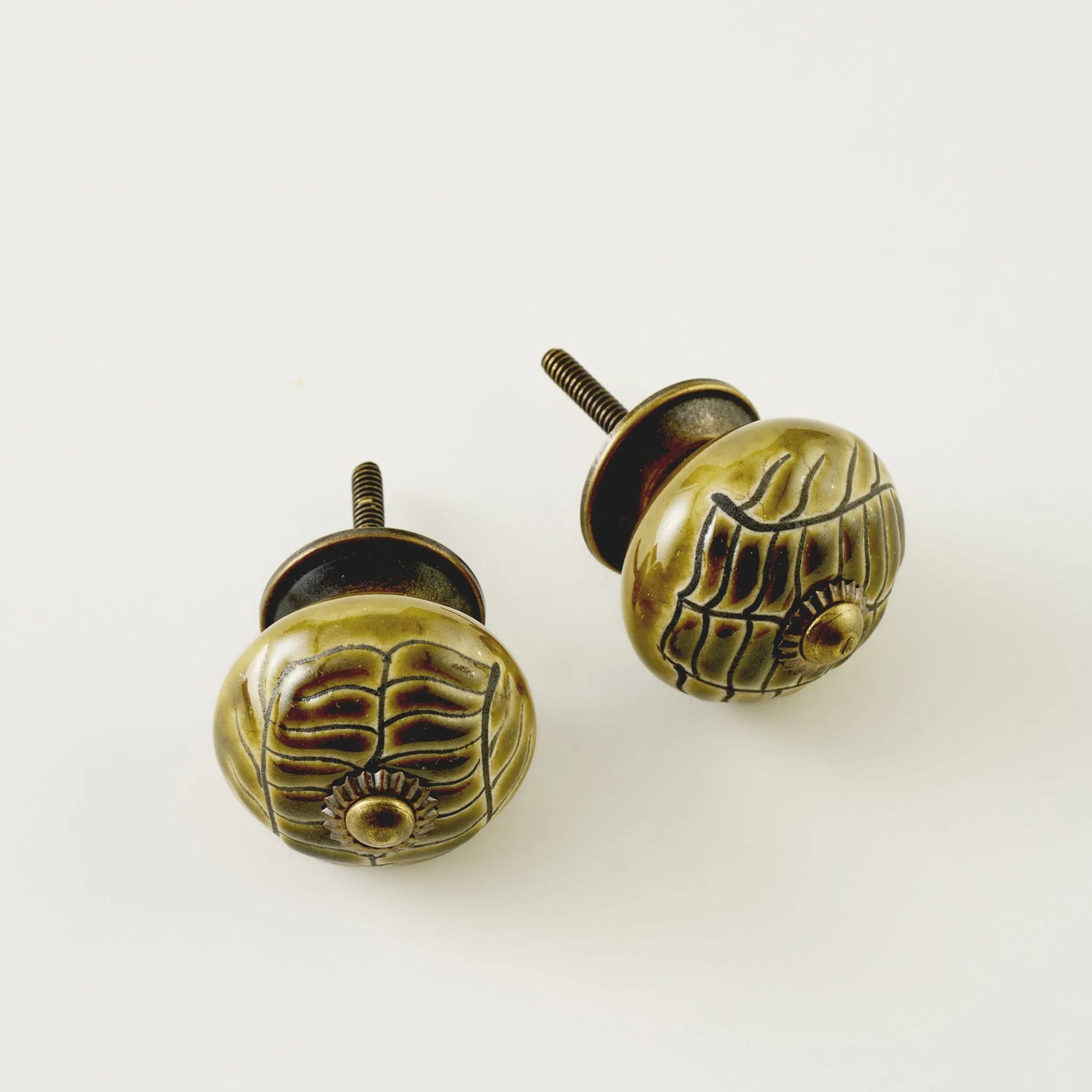 Lara Ceramic Cabinet Knobs (Set of 2) texture detail