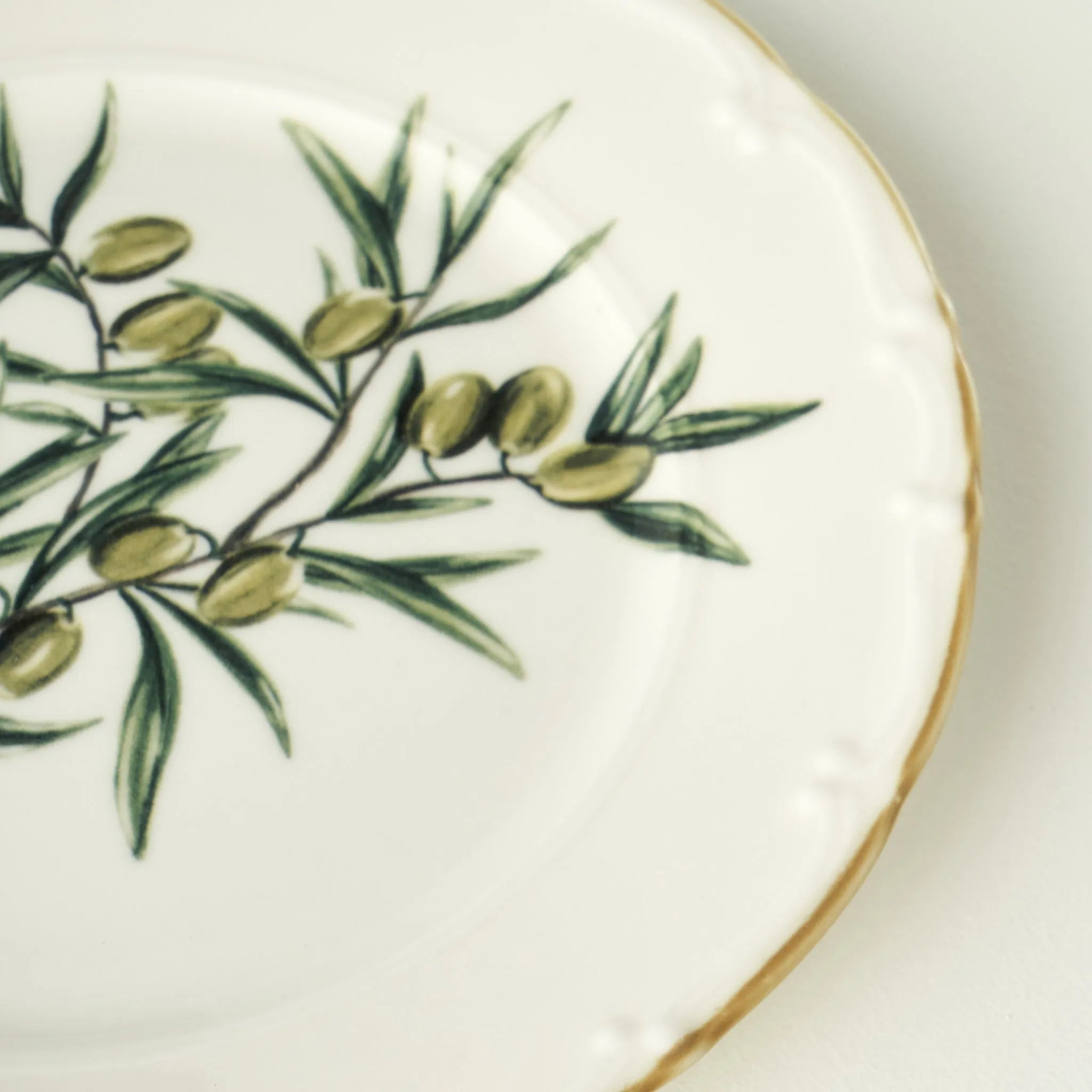 Olive Porcelain Dinner Plate detail view