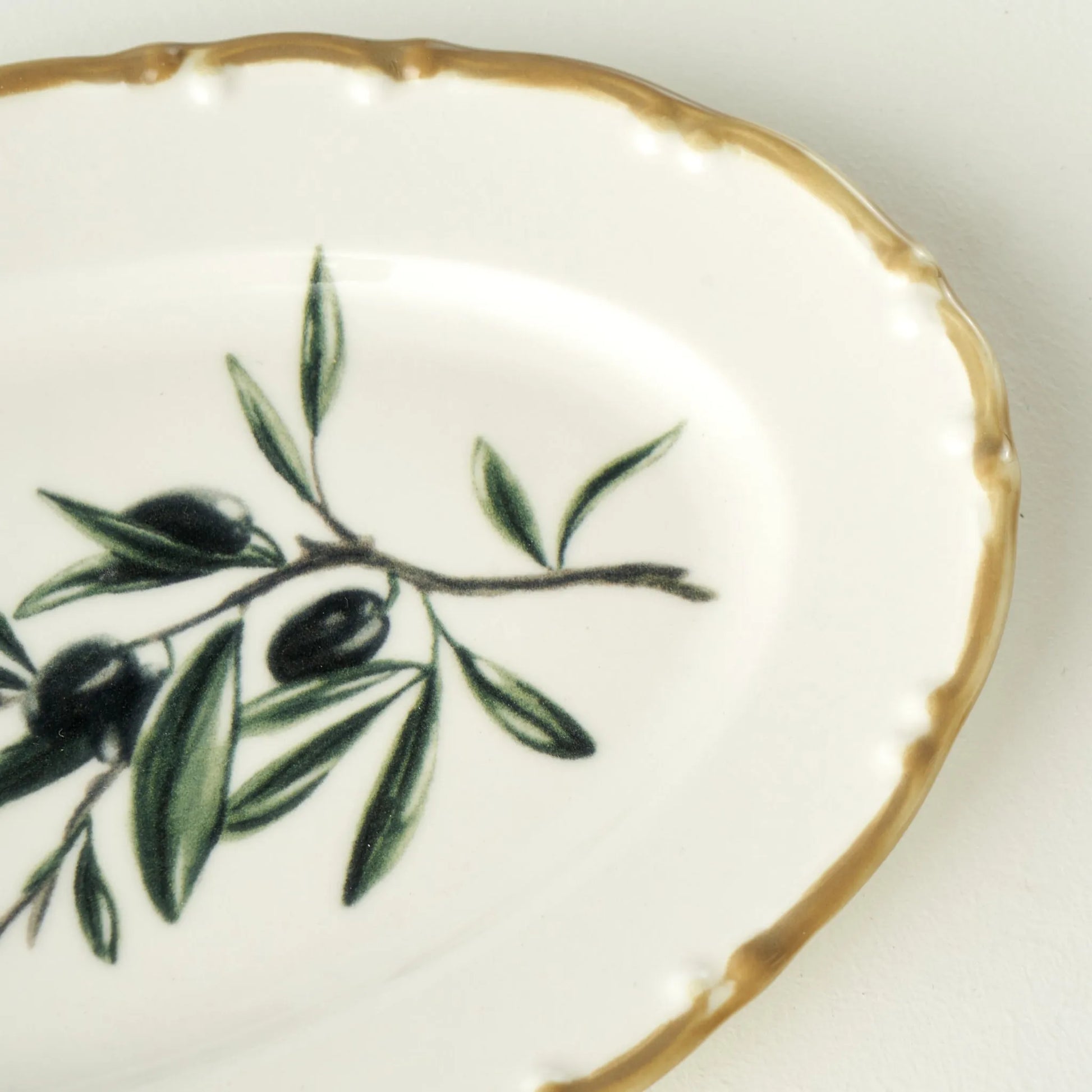 Olive Porcelain Oval Serving Platter texture detail