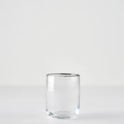 Premium Tumbler with Silver/Gold Rim