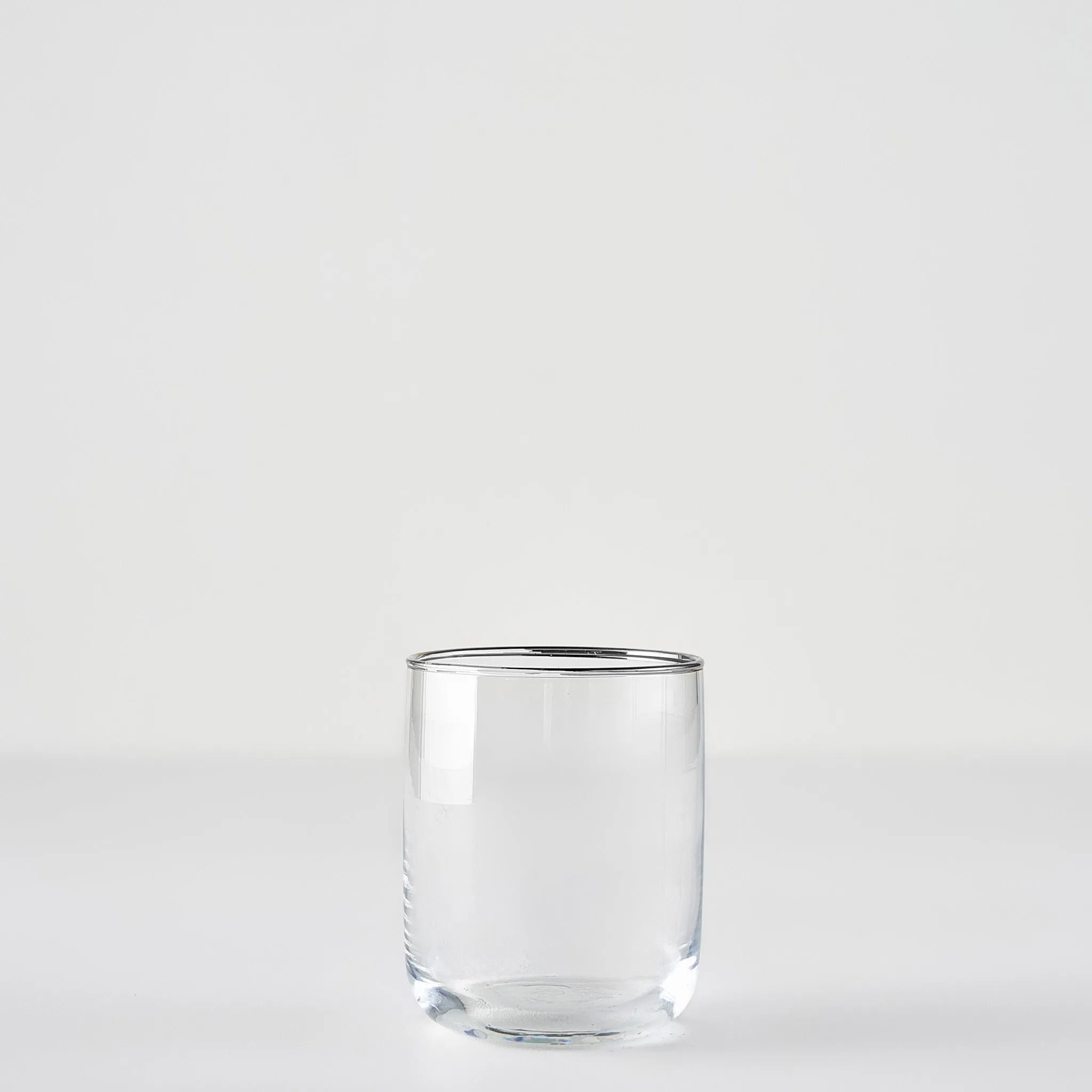 Premium Tumbler with Silver/Gold Rim