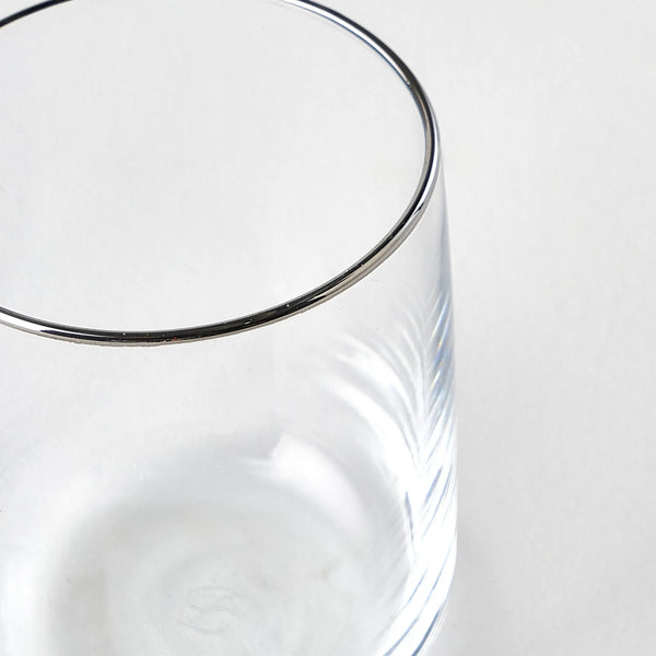 Premium Tumbler with Silver/Gold Rim