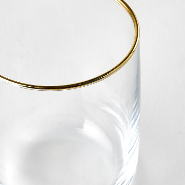 Premium Tumbler with Silver/Gold Rim